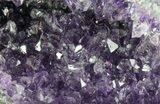 Purple Amethyst Cluster - Uruguay #66809-2